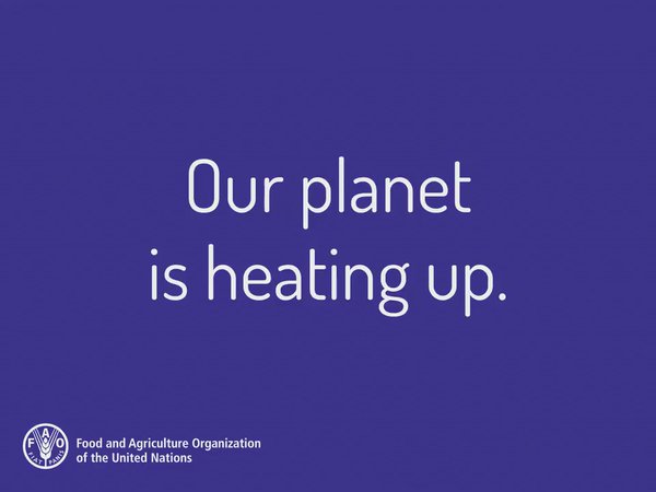 Our planet is heating up. What are you doing to combat climate chan…