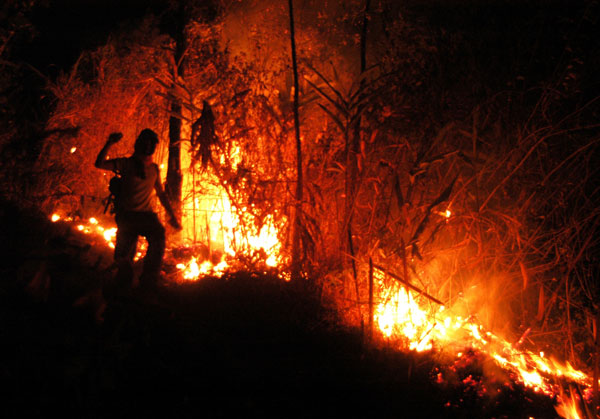 Controlling the burn: Indonesia’s efforts to prevent forest and land fire crisis