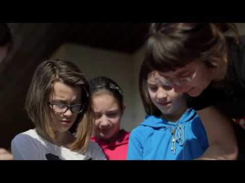 EU Solidarity Corps – willing to dedicate yourself to helping other people?