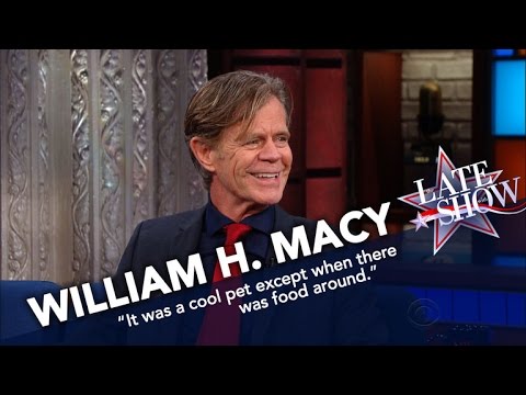 William H. Macy’s Only Scar Comes From A Raccoon Bite
