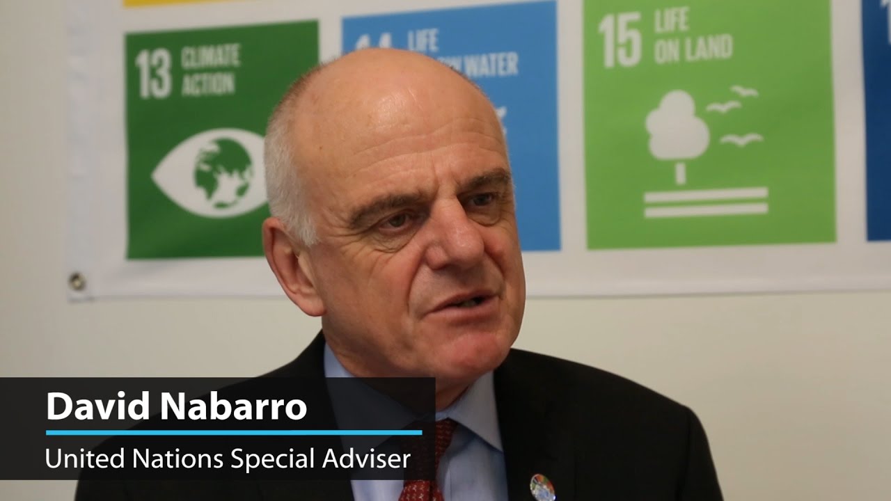 David Nabarro: Vaccination campaign has contributed to a big reduction in cholera cases in Haiti