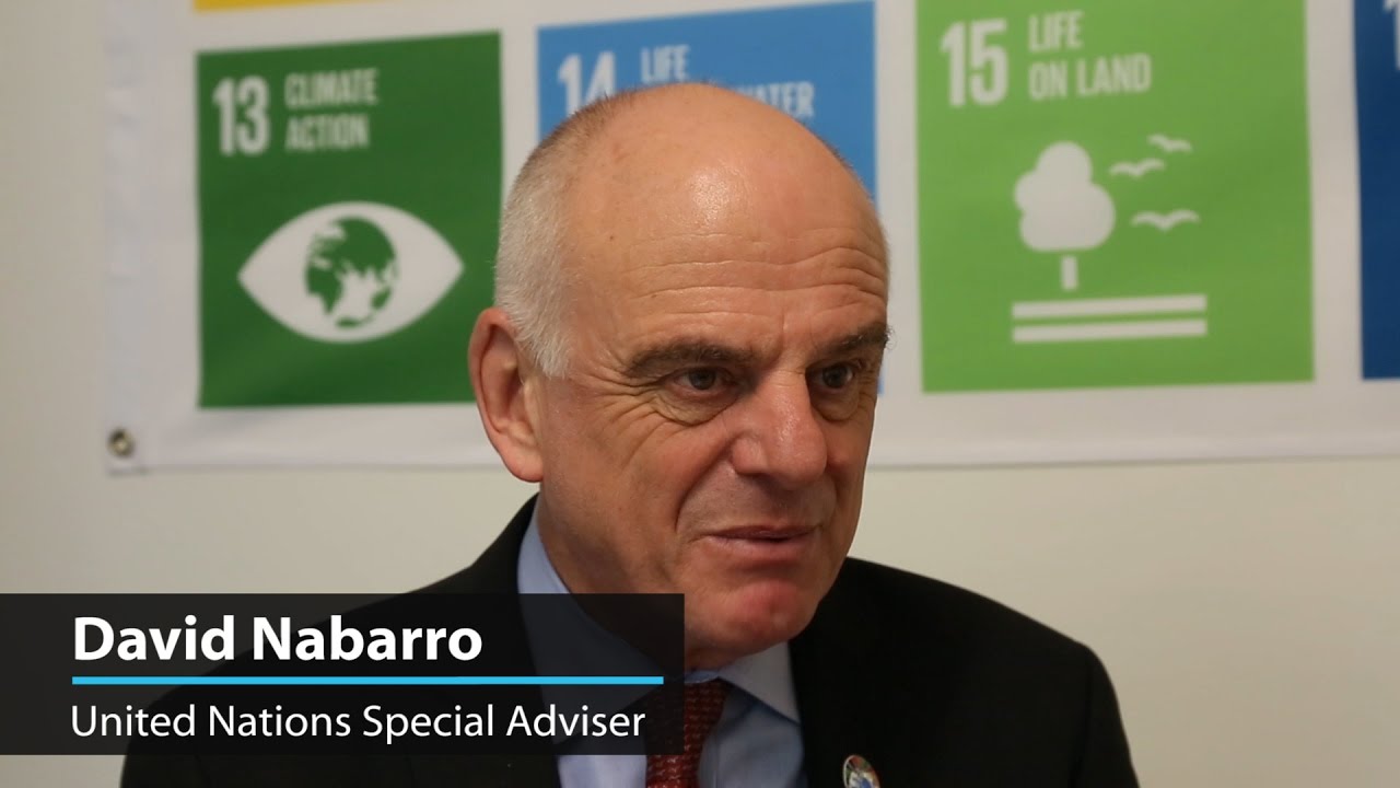 Dependable financing is needed to combat cholera in Haiti – UN Special Advisor