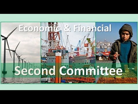 Economic and Financial Committee (Second Committee) – Promo video