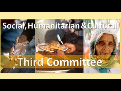 Social, Humanitarian and Cultural Committee (Third Committee) – Promo video