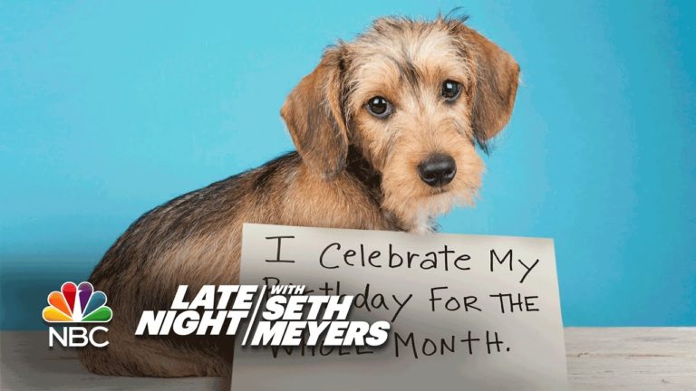 Extreme Dog-Shaming: Birthday Month, Roomba Defiler