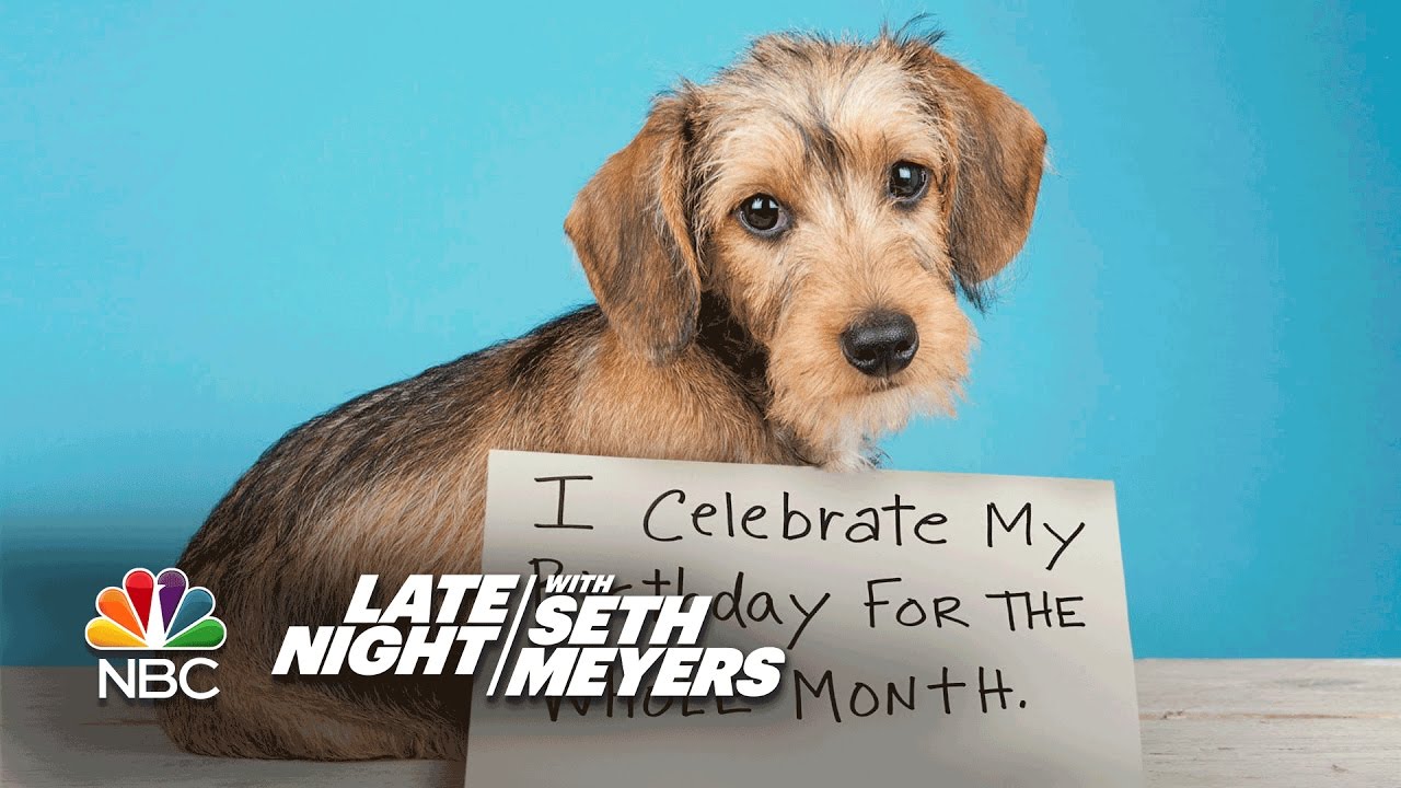 Extreme Dog-Shaming: Birthday Month, Roomba Defiler