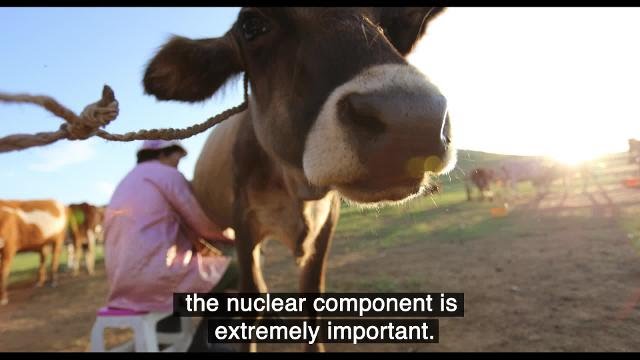 Keeping Mongolia’s Livestock Healthy