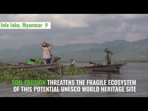 Nuclear techniques help scientists save Myanmar’s famous lake