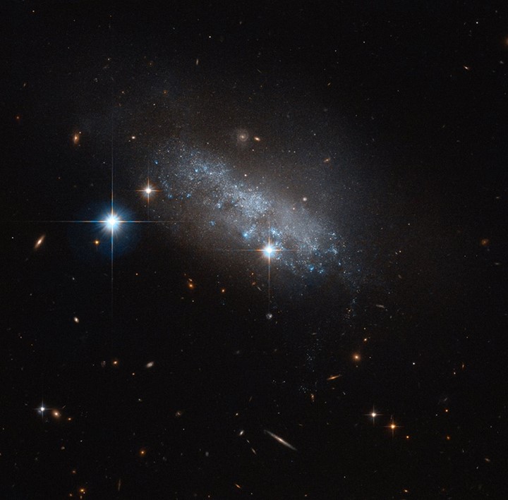 Glimmering in the blackness of space is this delicate blue g…
