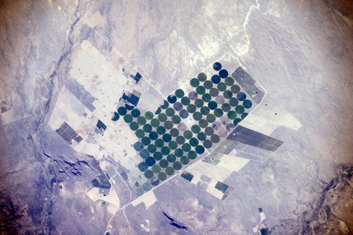 I was looking for the Nazca lines today over Peru, and when I thought I had them…