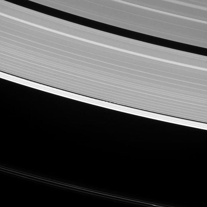 Saturn’s moon Daphnis raises waves wherever it goes. In fact, such waves are one…