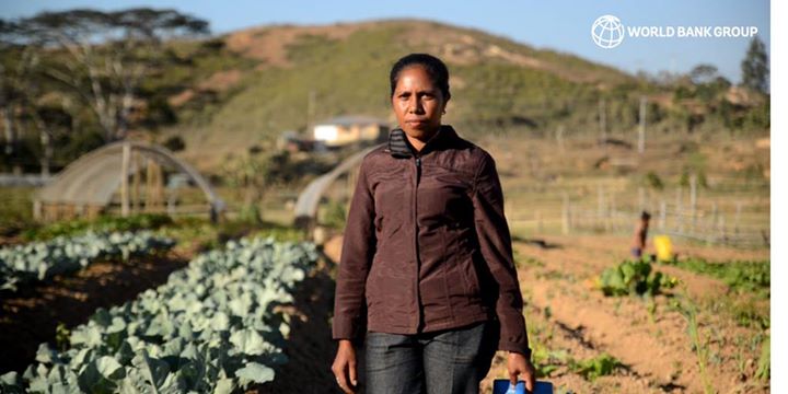 Since becoming an independent nation in 2002, Timor-Leste ha…