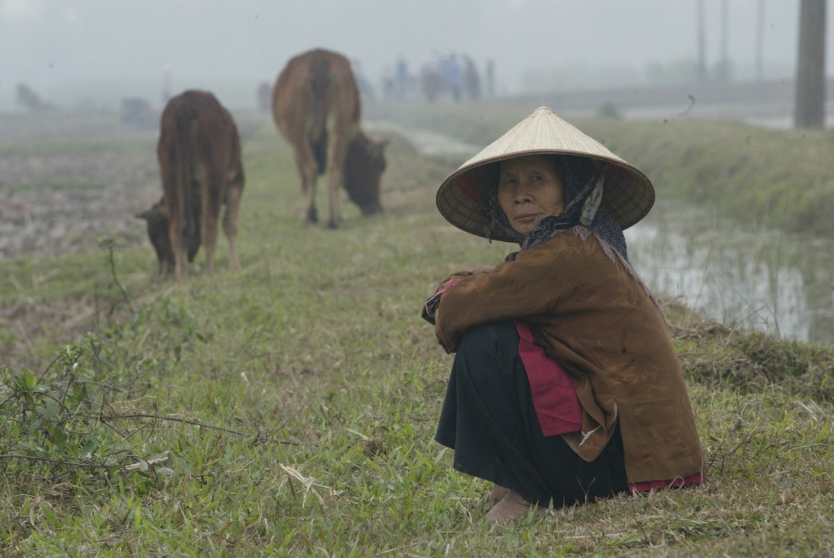 Half of the 800 million people living below USD 1.9/day depend on livestock …