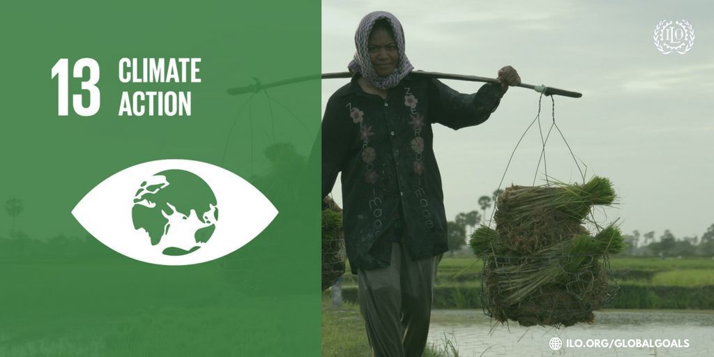 Will climate action deliver decent work? An @ILO expert weighs in:  #ClimateChan…