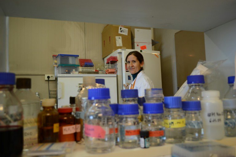 “We needed funds to find this molecule—this molecule which will hopefully save l…