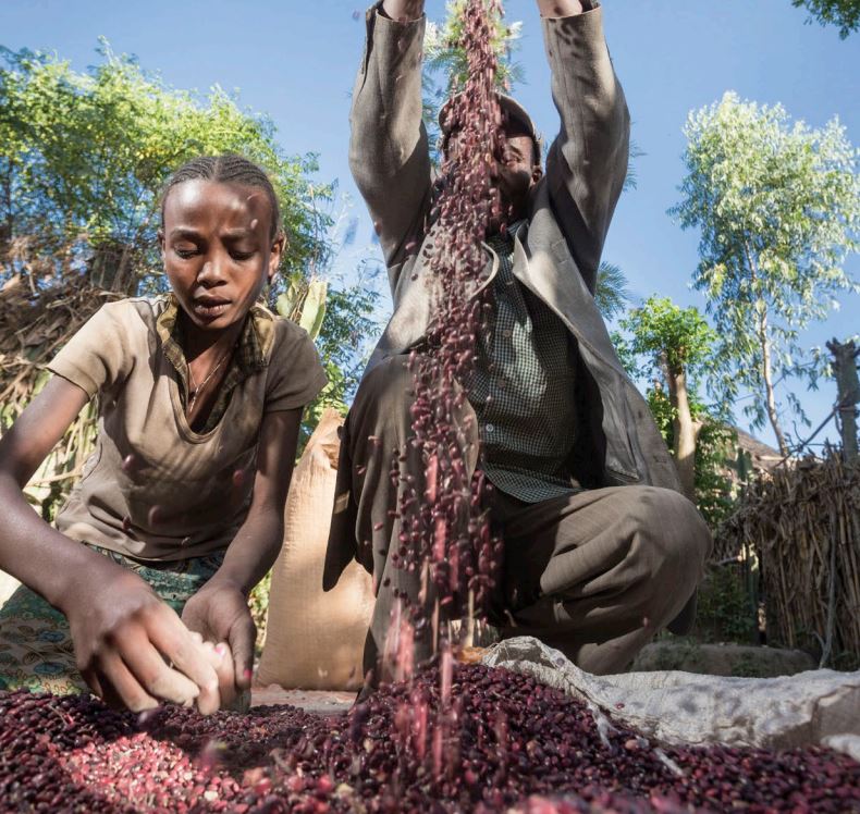 Achieving #ZeroHunger: The critical role of investments in social protection and…