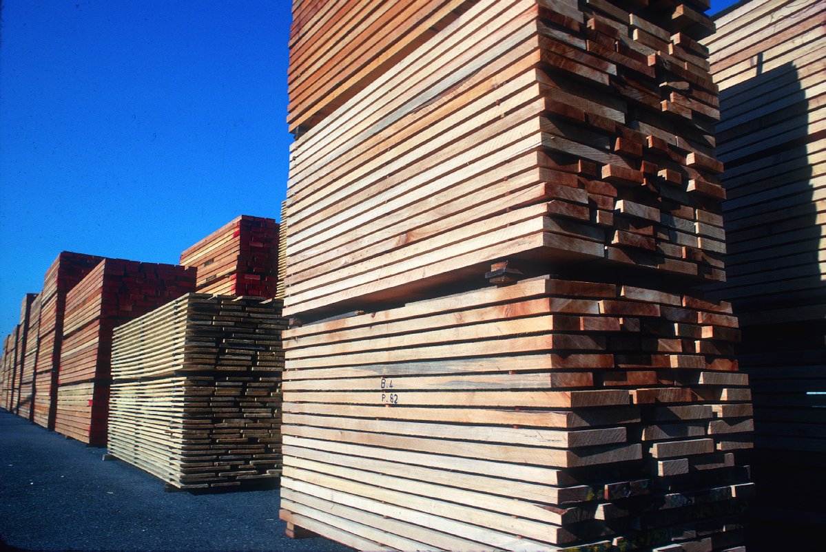 Wood production sees growth driven by housing and green energy markets  …