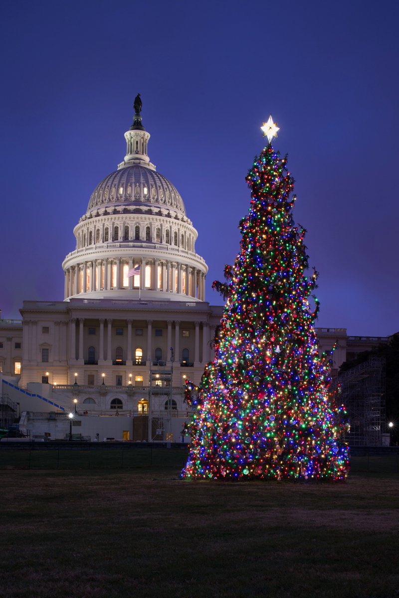 The 2016 #CapitolChristmasTree all aglow! …