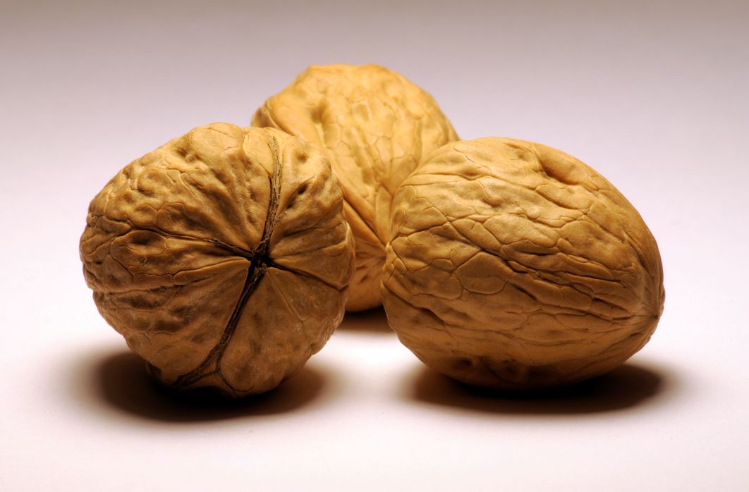 994,738 hectares of #walnuts were cultivated in 2014 #FAOSTAT

Explore the data:…