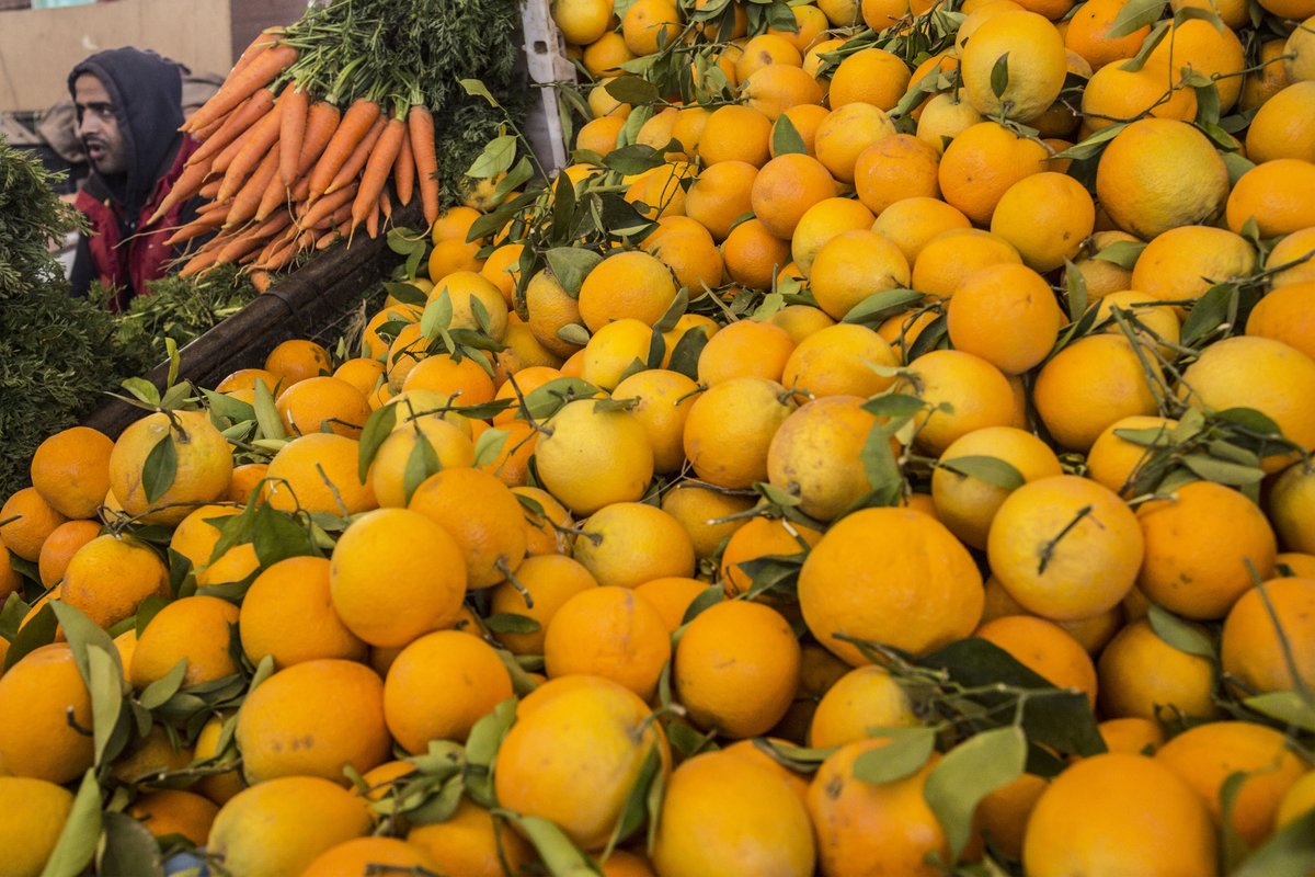 #FAOSTAT data update | Agricultural production data  …