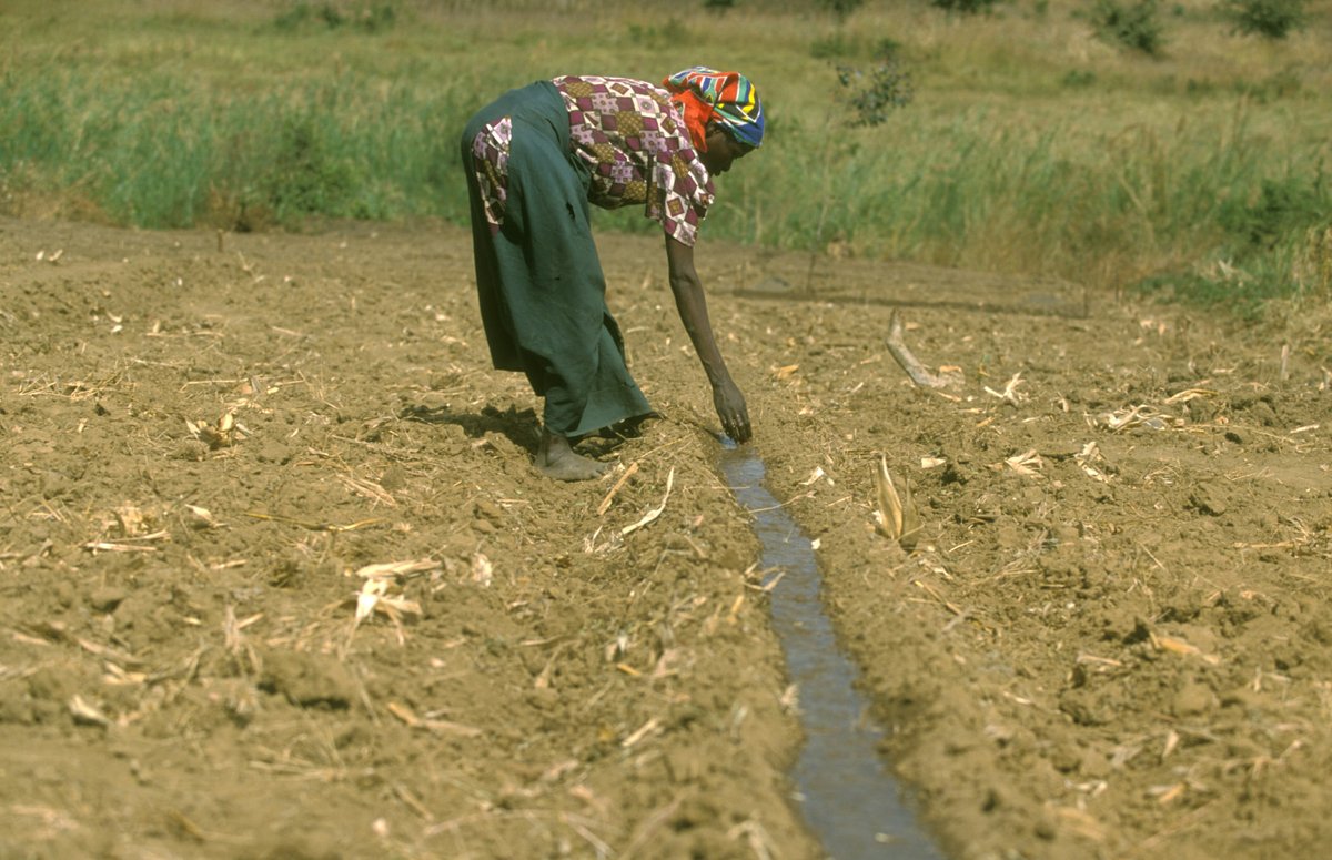 Status of the World’s Soil Resources. Governance and #policy responses to soil c…