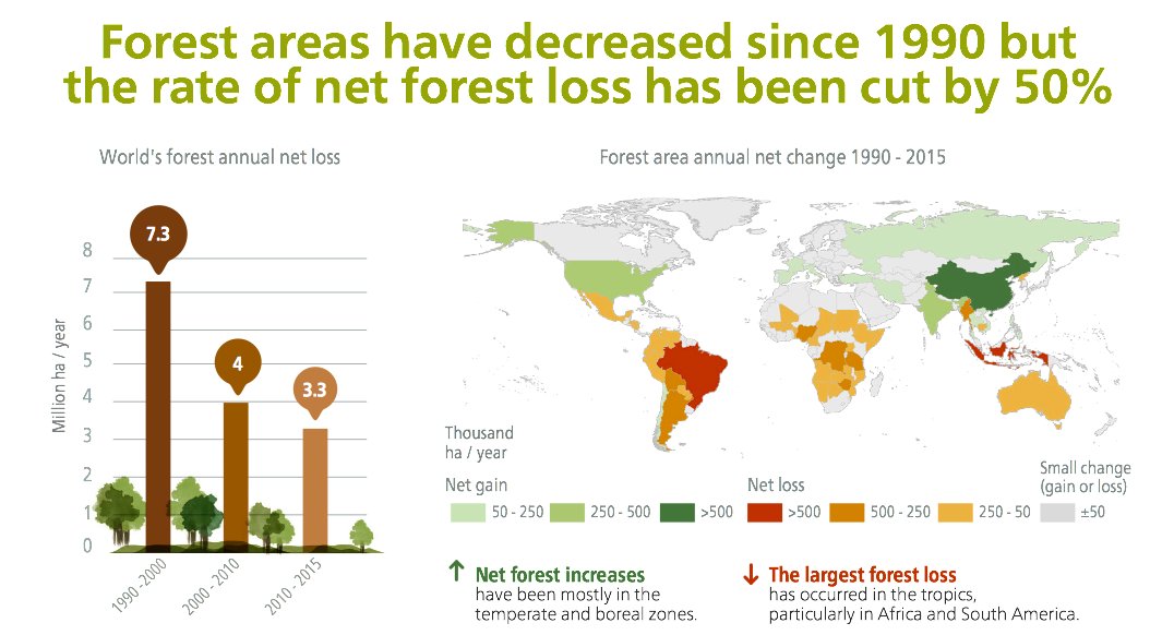 #didyouknow The rate at which we are losing our forests is decr…