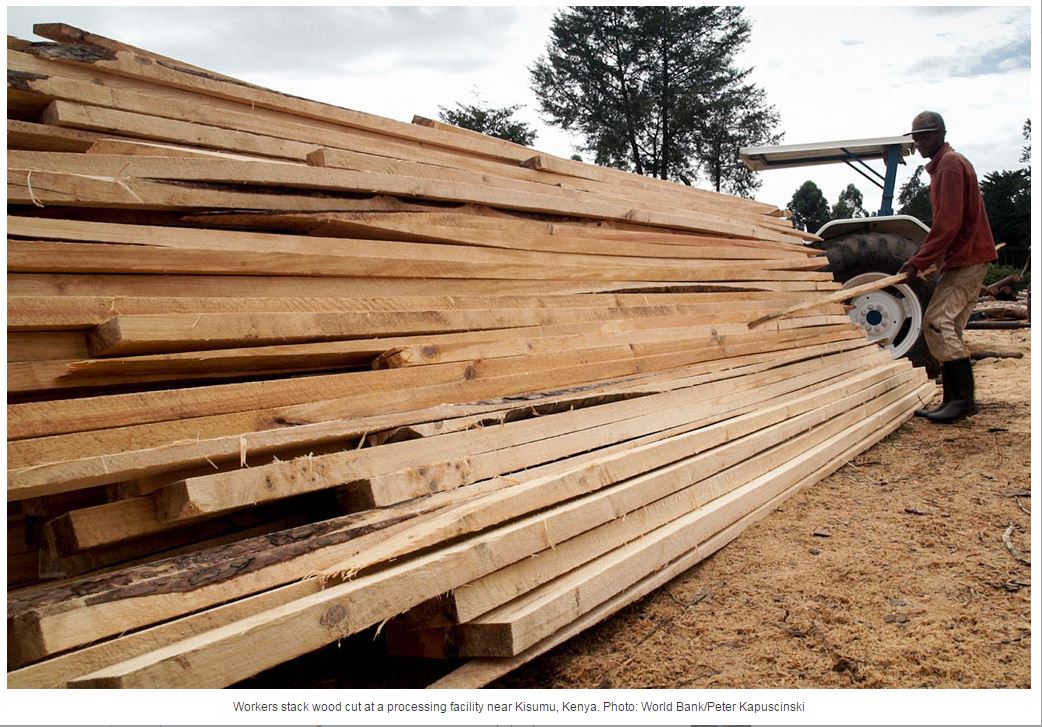 #UNFAO reports rises in wood production and demand for bioenergy via @caprazli  …