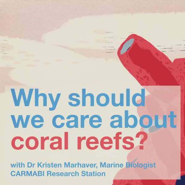 The Great Barrier Reef is just one of a number of reefs in trouble. Thi…