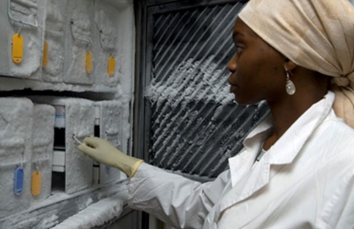 How to design youth employment programs