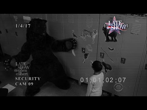 Grizzly Bears Are An Educational Menace