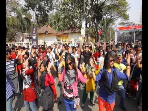 ICC World Twenty20 Bangladesh 2014 Flash Mob – Agricultural University S…