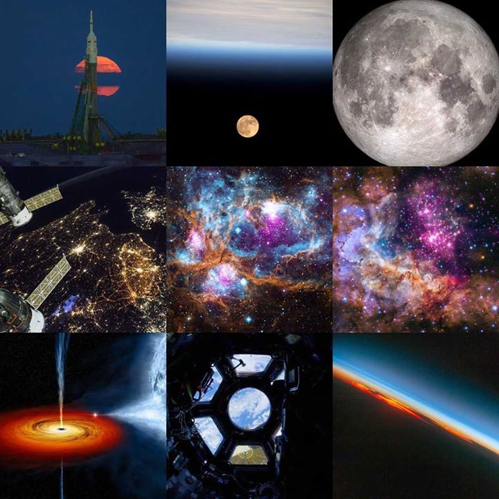 Throughout 2016 we posted more than 350 images and videos of…