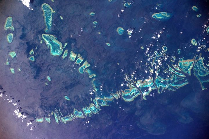 The Great Barrier Reef: another natural jewel that we must protect