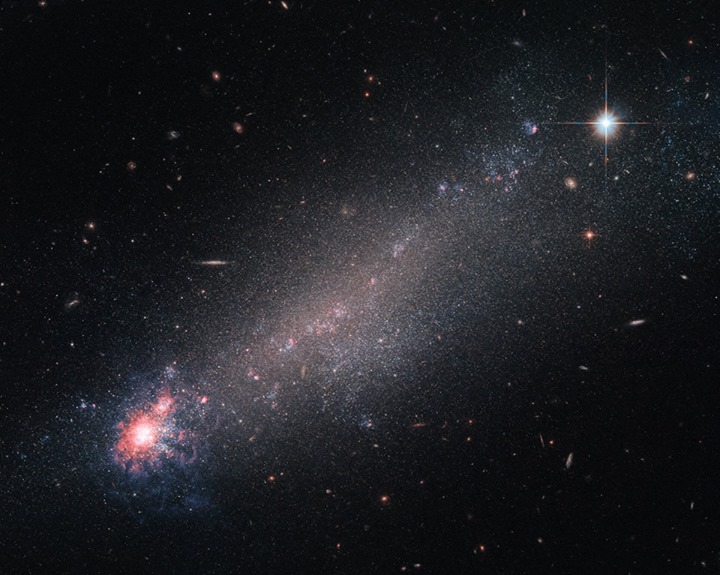The lesser-known constellation of Canes Venatici is home to this beautiful galax…