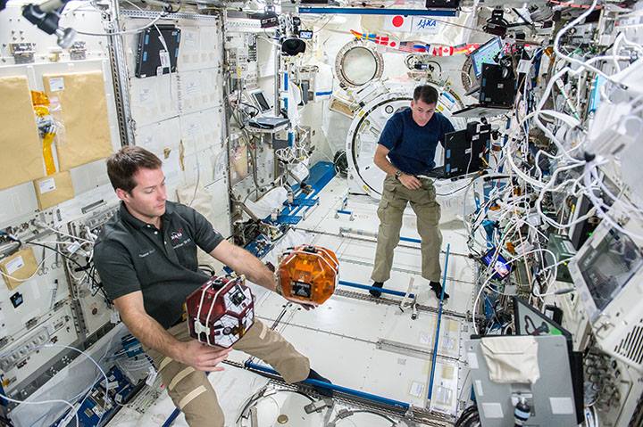 Science in bloom: Take a walk through the year 2016 in image…