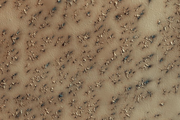 A layer of dry ice covers Mars’ South Pole every winter. In …