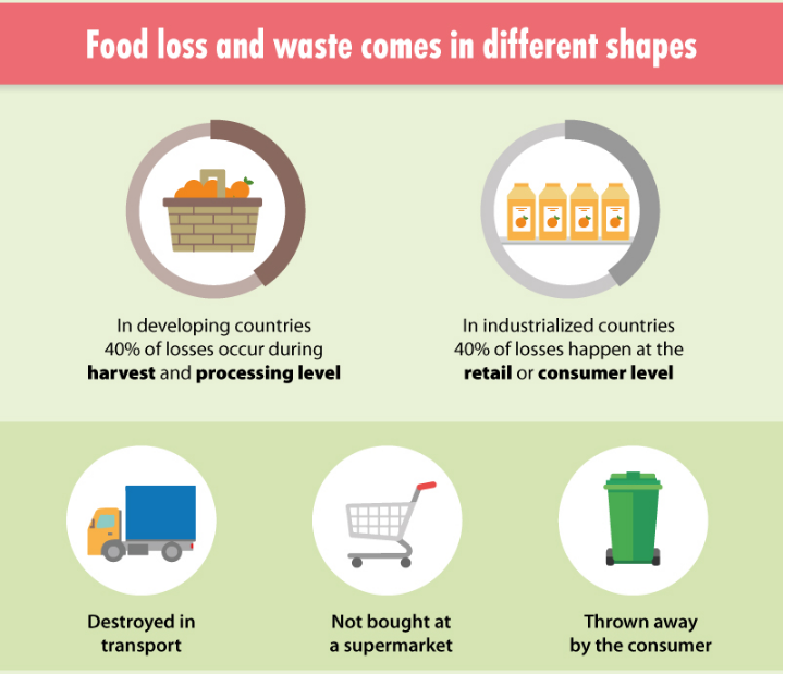 Campaign Art: Food Waste