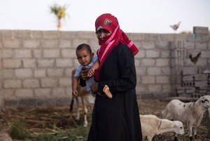 #EU and #FAO commitment to improve #foodsecurity in Yemen  …