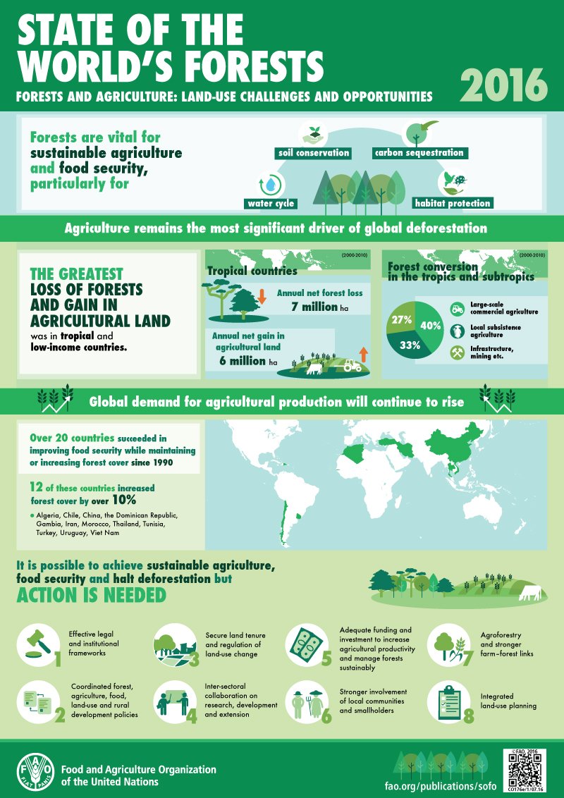 Halting #deforestation helps to increase agricultural productivity and #foodsecu…