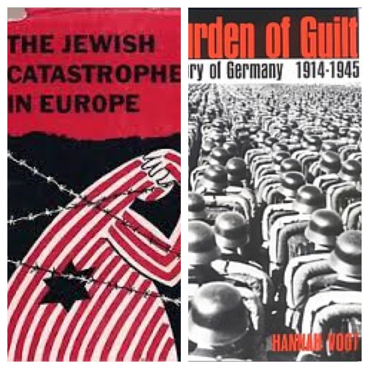 Representations of the Holocaust in history textbks are more complex than those …