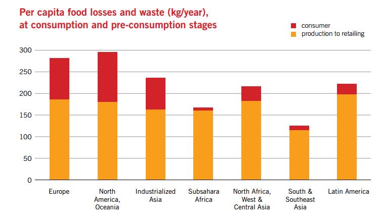 The role of producer organizations in reducing food loss and waste  #NotWasting …