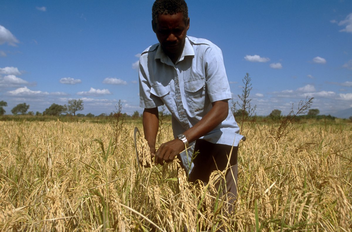 #ZeroHunger is possible! Here 5 steps to achieve it:  …