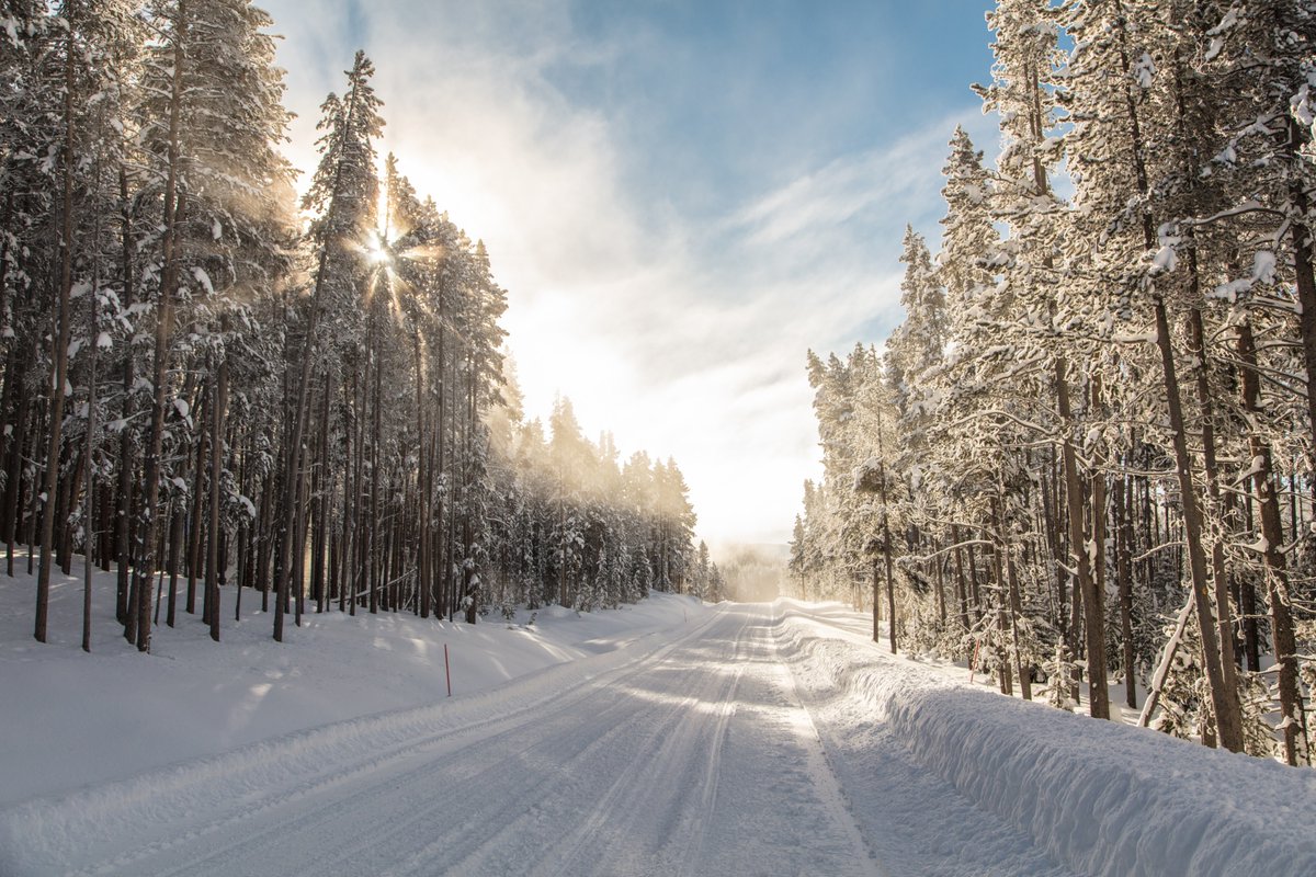 In Yellowstone, oftentimes the journey is the destination. #…