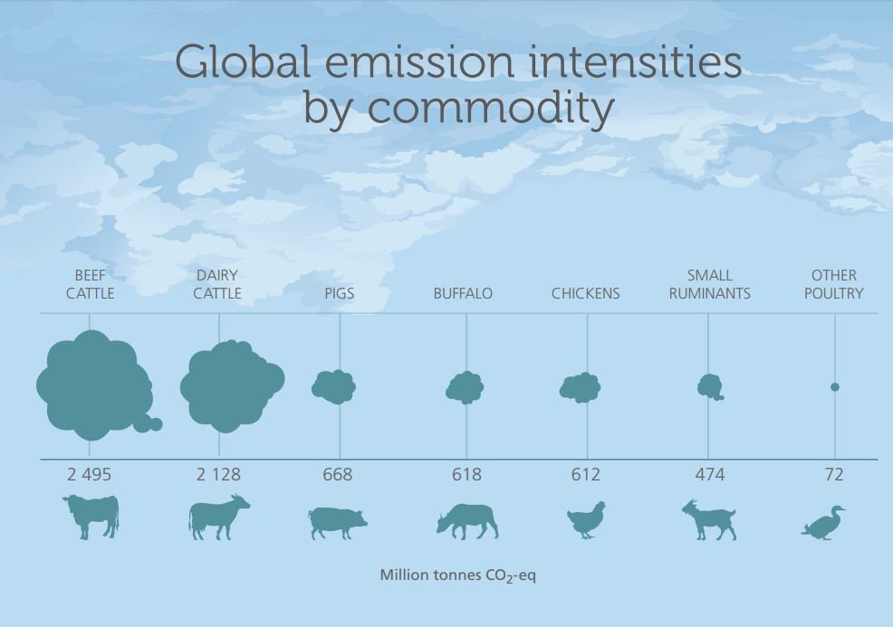 14.5% of all human-caused greenhouse gas (#GHG) emissions come from livestock su…