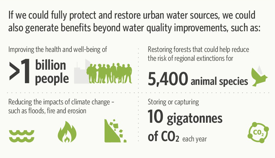 Protecting our water sources brings a wealth of benefits
