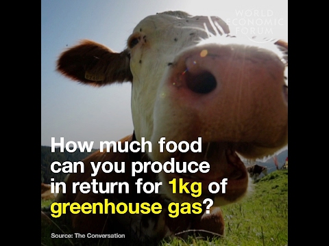How much food can you produce in return for 1kg of greenhouse gas?