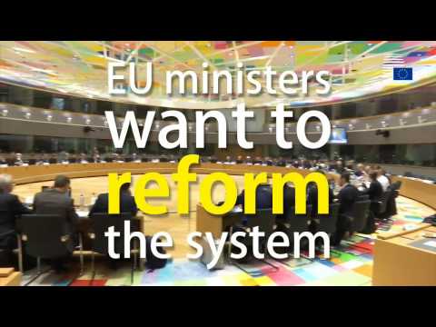 The Emissions Trading System