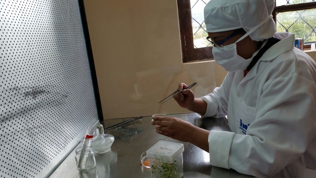 Wanted: Women scientists (to feed the world) – World of Opportunity