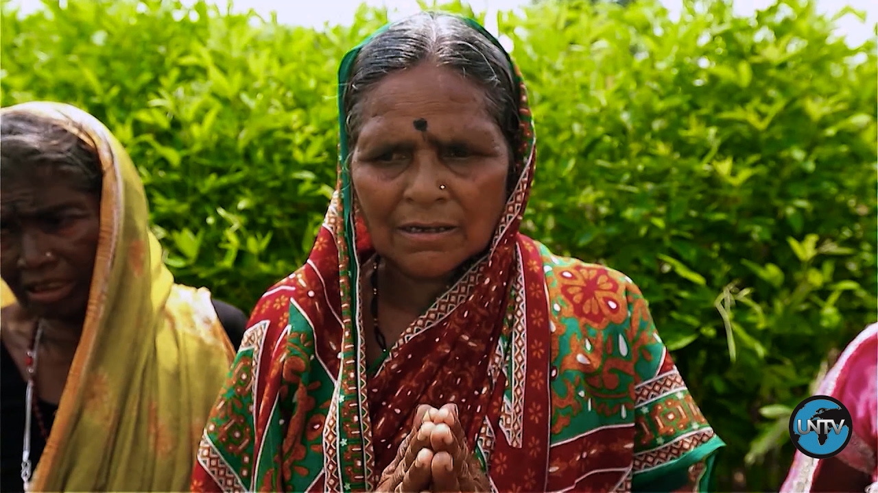 India: Saving the Cotton Community