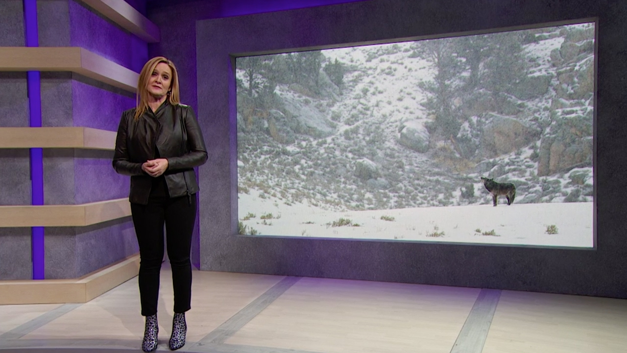 A Break From The Apocalypse | Full Frontal with Samantha Bee | TBS